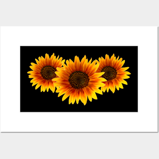 Sunflowers Posters and Art